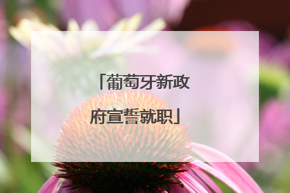 葡萄牙新政府宣誓就职